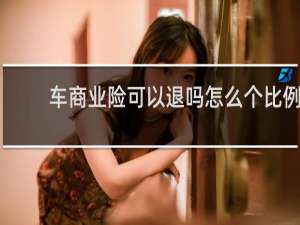 车商业险可以退吗怎么个比例