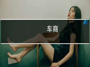 车商