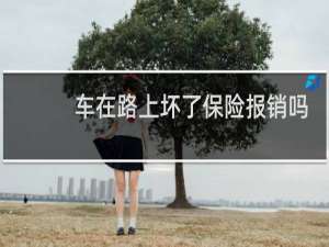 车在路上坏了保险报销吗