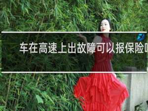 车在高速上出故障可以报保险吗