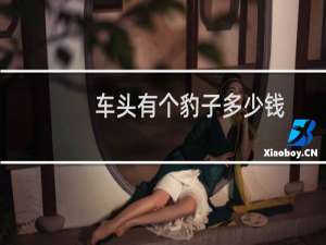车头有个豹子多少钱