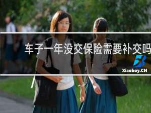 车子一年没交保险需要补交吗