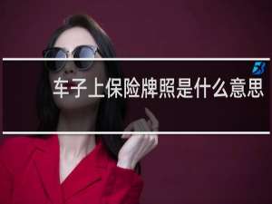 车子上保险牌照是什么意思