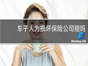 车子人为损坏保险公司赔吗