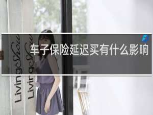 车子保险延迟买有什么影响