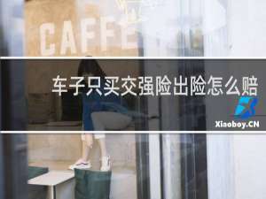 车子只买交强险出险怎么赔