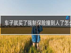 车子就买了强制保险撞到人了怎么办