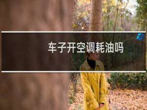 车子开空调耗油吗