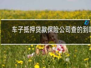 车子抵押贷款保险公司查的到吗