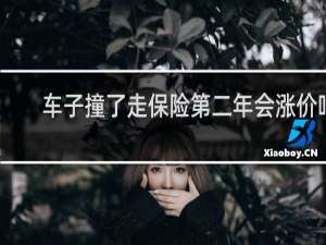 车子撞了走保险第二年会涨价吗