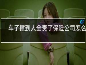 车子撞到人全责了保险公司怎么赔