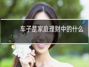 车子是家庭理财中的什么