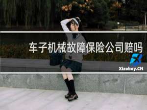 车子机械故障保险公司赔吗