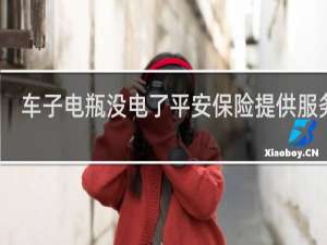 车子电瓶没电了平安保险提供服务吗