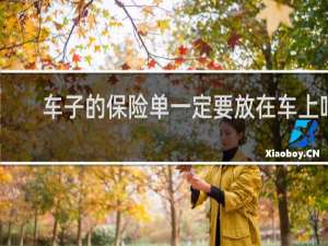 车子的保险单一定要放在车上吗