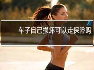 车子自己损坏可以走保险吗