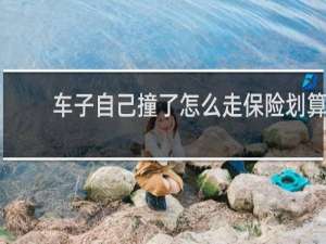 车子自己撞了怎么走保险划算
