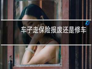 车子走保险报废还是修车