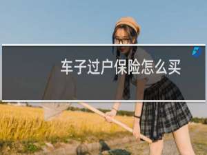 车子过户保险怎么买