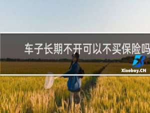 车子长期不开可以不买保险吗