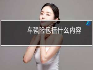 车强险包括什么内容