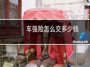 车强险怎么交多少钱