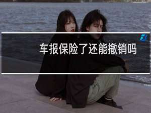 车报保险了还能撤销吗