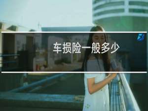 车损险一般多少