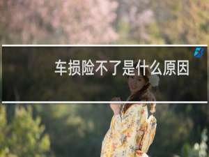 车损险不了是什么原因