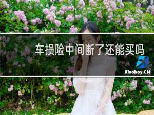 车损险中间断了还能买吗