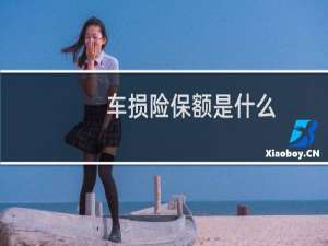 车损险保额是什么