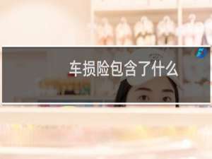 车损险包含了什么