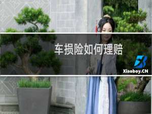 车损险如何理赔