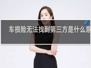 车损险无法找到第三方是什么意思