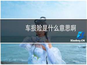 车损险是什么意思啊