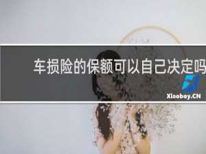 车损险的保额可以自己决定吗