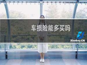 车损险能多买吗