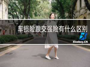 车损险跟交强险有什么区别