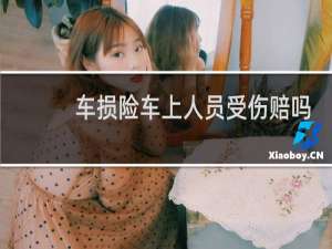 车损险车上人员受伤赔吗