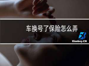 车换号了保险怎么弄