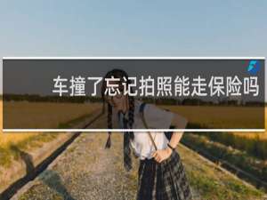 车撞了忘记拍照能走保险吗