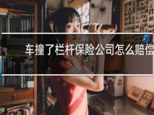 车撞了栏杆保险公司怎么赔偿