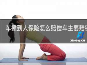 车撞到人保险怎么赔偿车主要赔钱吗