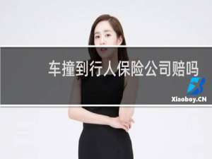 车撞到行人保险公司赔吗