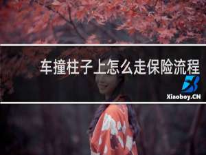 车撞柱子上怎么走保险流程