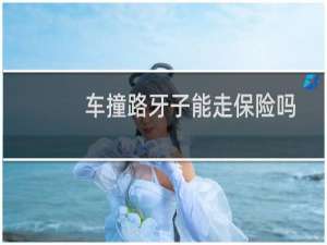 车撞路牙子能走保险吗