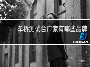车桥测试台厂家有哪些品牌