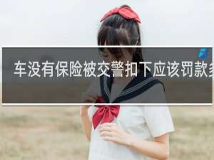 车没有保险被交警扣下应该罚款多少