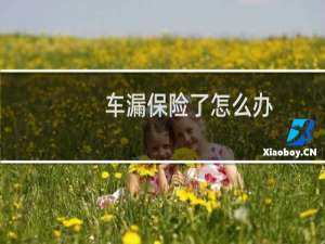 车漏保险了怎么办