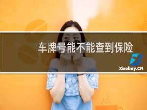 车牌号能不能查到保险